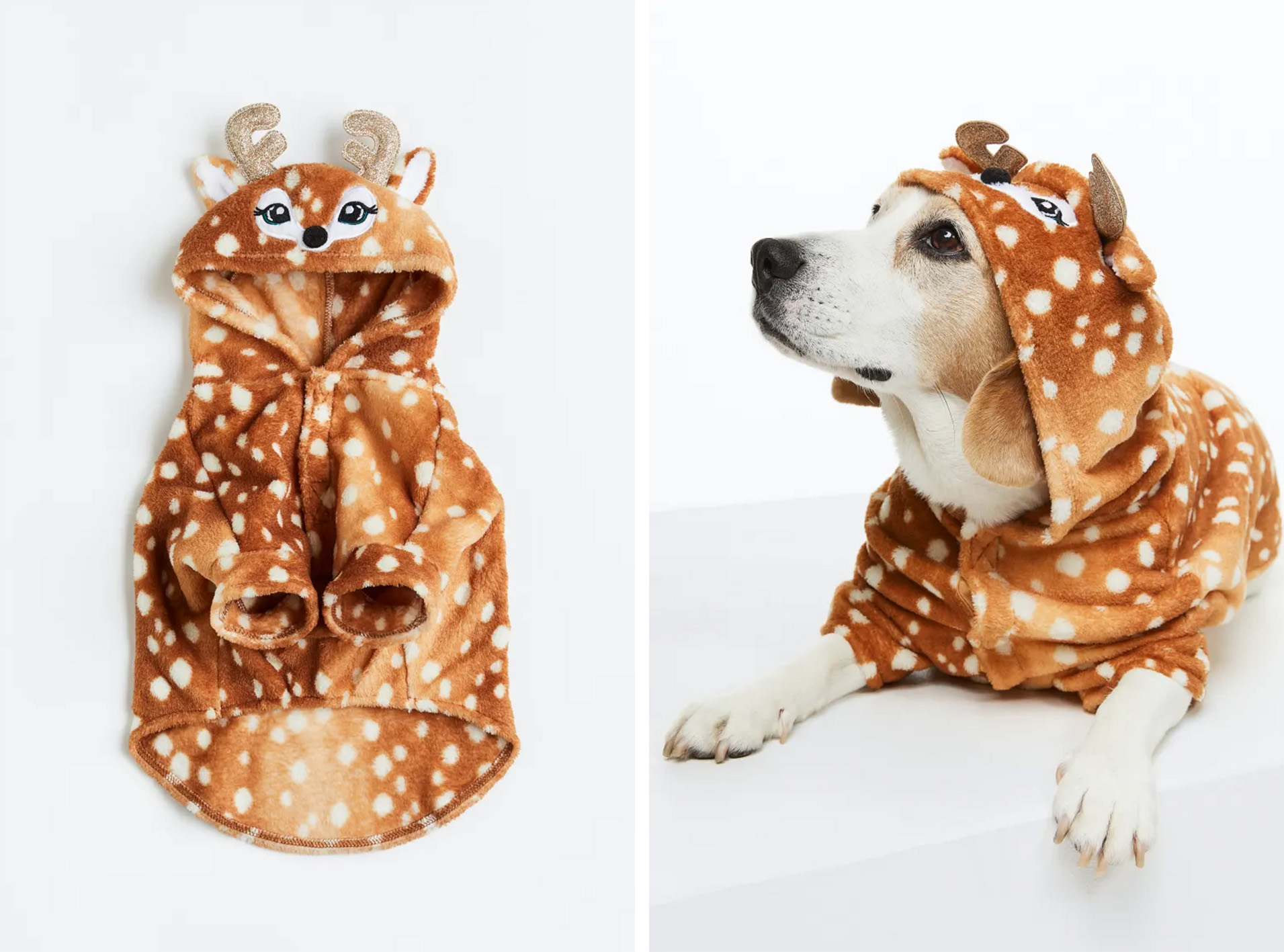 déguisement bambi pour chien